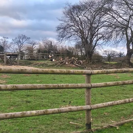 Mobilhome 3 キャンプ場 *