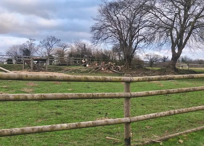 Mobilhome 3 Kemping *